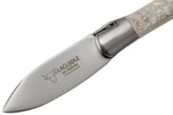 Laguiole En Aubrac Oyster C2I99CQHI Oyster Knife Oyster Shell -Kitchen Knife Store AUC2I99CQHI 03 laguiole en aubrac