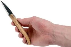 Claude Dozorme Laguiole Oyster Set Olive -Kitchen Knife Store CD2 60 062 89 07 claude dozorme cd2 60 062 89 07