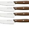Due Cigni 1896 America 2C1019NOSET4, 4-piece Steak Knife Set, Walnut Wood -Kitchen Knife Store DG2C1019NOSET4 01 duecigni