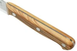 Due Cigni Tuscany 2C750-10OL Paring Knife 10 Cm Olive Wood -Kitchen Knife Store DG2C750 10OL 06 duecigni