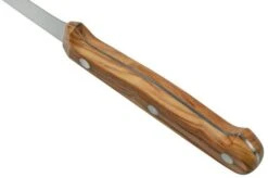 Due Cigni Tuscany 2C765-11OL Steak Knife 11 Cm Olive Wood -Kitchen Knife Store DG2C765 11OL 04 duecigni