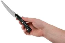 Due Cigni Arne Line Steak Knife 11 Cm, Black -Kitchen Knife Store DG2C900 06 due cigni arne
