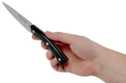 Due Cigni Arne Line Paring Knife 10 Cm, Black -Kitchen Knife Store DG2C901 06 due cigni arne