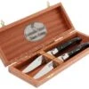 2-pc Black Horn Tip Fontenille Pataud Steak Knives -Kitchen Knife Store FPLTC2PCN 01 fontenille pataud fpltc2pcn steakmessenset buffel d1