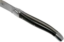 Forge De Laguiole, LAT22MINEB, 2-piece Steak Knife Set Matte, Ebony Wood -Kitchen Knife Store LAT22MINEB 05 forge de laguiole