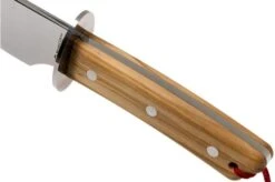 Maserin 2000SC11 Champagne Sabre, Olive Wood -Kitchen Knife Store ME2000SC11 05 maserin