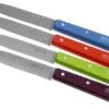 Set Of 4 Opinel Paring Knives N°112 Pop -Kitchen Knife Store OP001381 01 opinel tafelmesset op001381 01