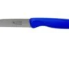 Robert Herder Straight Classic Peeling Knife Carbon, Blue, 8.5 Cm 1 Robert Herder Straight Classic Peeling Knife Carbon, Blue, 8.5 Cm -Kitchen Knife Store RH135532560 01 robert herder