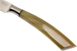 Saladini 6-pc Steak Knife Set 23 Cm, Ox Horn -Kitchen Knife Store SL4001PC6 05 saladini sl4001pc6 05