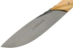 Viper Fiorentina Steak Knife Set Olive Wood 2-piece, VT7500-02UL -Kitchen Knife Store VPVT7500 02UL 03 viper