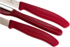 Victorinox SwissClassic Vegetable Knives In Red, Set Of 3, 6.7111.31 -Kitchen Knife Store VT6 7111 31 04 victorinox vt6 7111 31 04