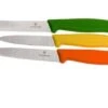 Victorinox SwissClassic Vegetable Knife Set, Set Of 3, 6.7116.31G -Kitchen Knife Store VT6 7116 31G 01 victorinox vt6 7116 31g 01