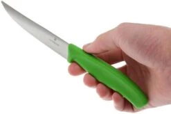 Victorinox Swissclassic Pizza/steak Knife Green, Set Of 2, 6.7936.12L4B -Kitchen Knife Store VT6 7936 12L4B 04 victorinox steakmes groen vt vt6 7936 12l4b 04