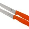 Victorinox Swissclassic Pizza/steak Knife Orange, Set Of 2, 6.7936.12 L9B -Kitchen Knife Store VT6 7936 12L9B 01 victorinox steakmes oranje vt vt6 7936 12l9b 01