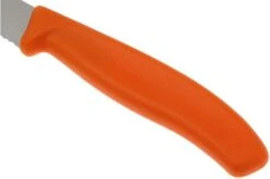 Victorinox Swissclassic Pizza/steak Knife Orange, Set Of 2, 6.7936.12 L9B -Kitchen Knife Store VT6 7936 12L9B 03 victorinox steakmes oranje vt vt6 7936 12l9b 03