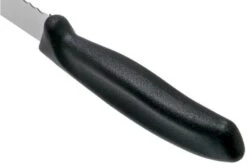 Victorinox SwissClassic 6.8633.21G Bread Knife Black 21 Cm -Kitchen Knife Store VT6 8633 21G 04 victorinox