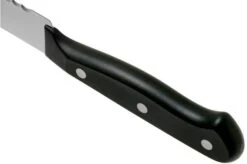 Wüsthof Gourmet Bread Knife 20 Cm, 1025045720 -Kitchen Knife Store WU1025045720 05 wusthof v202102