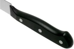 Wüsthof Gourmet Filleting Knife 16 Cm, 1025049116 14 Wüsthof Gourmet Filleting Knife 16 Cm, 1025049116 -Kitchen Knife Store WU1025049116 04 wusthof v202101