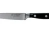 Wüsthof Classic Paring Knife 10 Cm, 1040100410 -Kitchen Knife Store WU1040100410 01 wusthof classic v202009