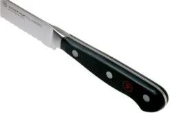 Wüsthof Classic Bread Knife 20 Cm, 1040101020 -Kitchen Knife Store WU1040101020 05 wusthof classic v202009