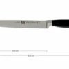 Zwilling 30070-201 Four Star II Carving Knife -Kitchen Knife Store ZW30070 201 01 zwilling four star ii zw30070 201 01