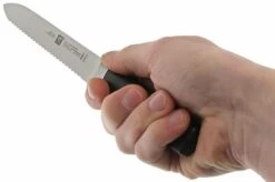 Zwilling 31070-130 Four Star Sausage Knife -Kitchen Knife Store ZW31070 130 05 zwilling four star zw31070 130 05