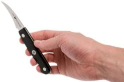 Zwilling Gourmet Turning Knife 6 Cm, 36110-061 -Kitchen Knife Store ZW36110 061 0 06 zwilling gourmet zw36110 061 0 06