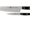 Zwilling Gourmet 2-piece Knife Set, 36130-005 1 Zwilling Gourmet 2-piece Knife Set, 36130-005 -Kitchen Knife Store ZW36130 005 0 01 zwilling gourmet zw36130 005 0 01