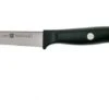 Zwilling Life Vegetable Knife, 38580-091-0 -Kitchen Knife Store ZW38580 091 0 01 zwilling life zw38580 091 0 01