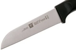 Zwilling Life Vegetable Knife, 38580-091-0 -Kitchen Knife Store ZW38580 091 0 03 zwilling life zw38580 091 0 03