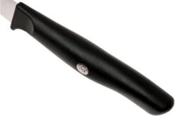 Zwilling Life Vegetable Knife, 38580-091-0 -Kitchen Knife Store ZW38580 091 0 05 zwilling life zw38580 091 0 05