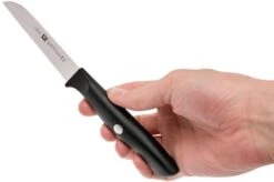 Zwilling Life Vegetable Knife, 38580-091-0 -Kitchen Knife Store ZW38580 091 0 06 zwilling life zw38580 091 0 06