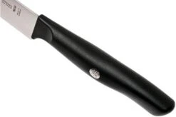 Zwilling Life Carving Knife 20 Cm, 38580-201-0 -Kitchen Knife Store ZW38580 201 0 05 zwilling zw38580 201 0 05
